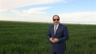 الزراعة في 8 سنوات إنجازات غير مسبوقة واهتمام كبير من الرئيس السيسي 