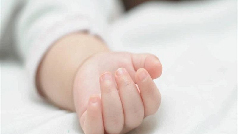 هير نيوز