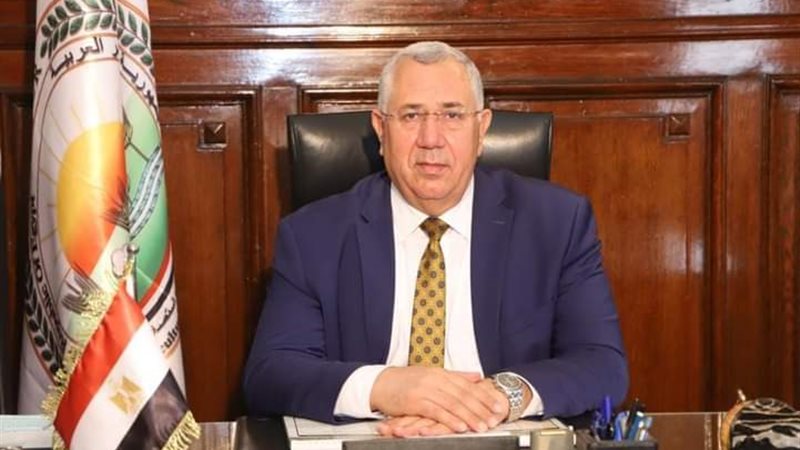 هير نيوز