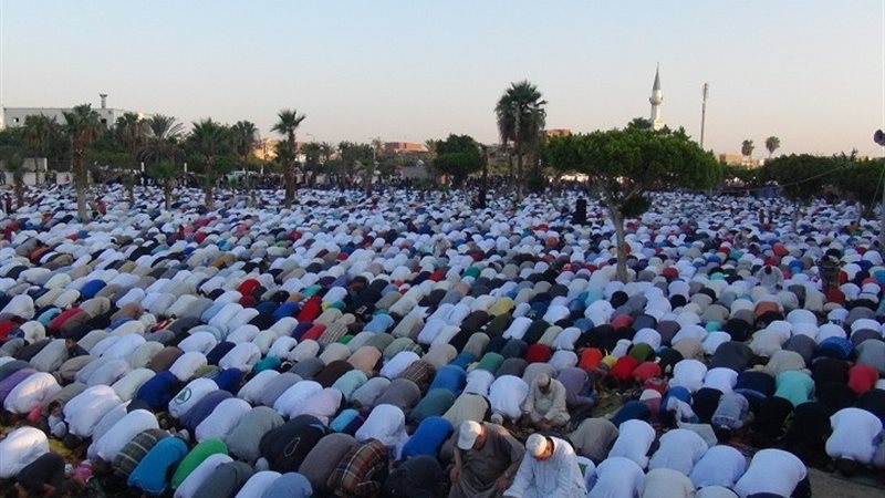 هير نيوز