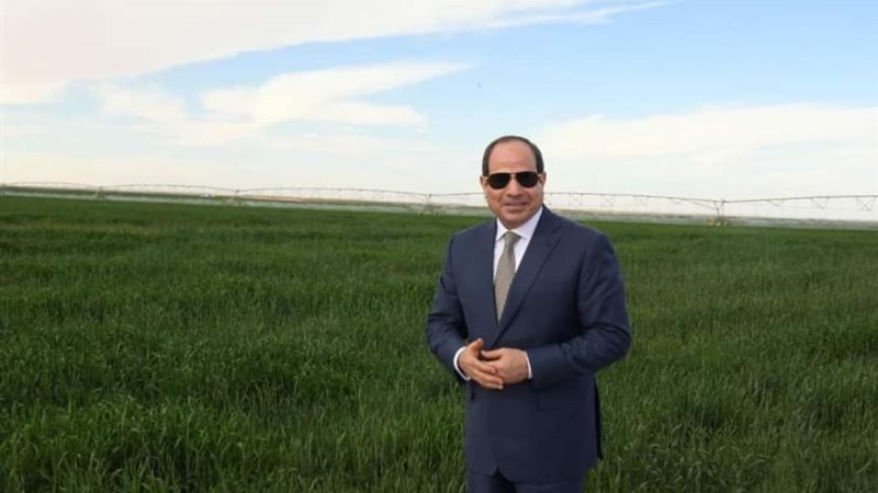 هير نيوز