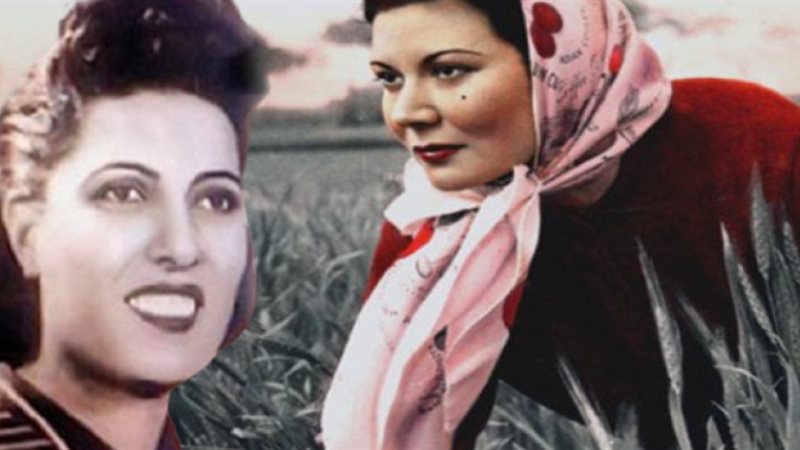 هير نيوز