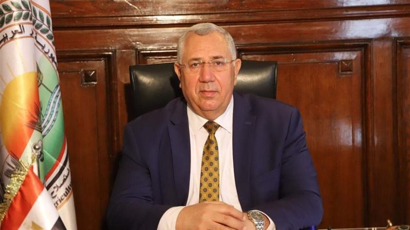 هير نيوز