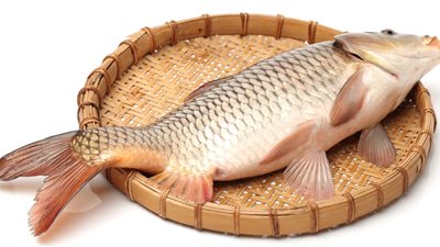 أسعار الأسماك اليوم السبت.. المكرونة السويسي بـ 80 جنيهًا والمجمدة بـ 40