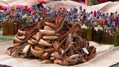 أسرار التابو.. أسنان الحوت مهر العروسة في فيجي| صور