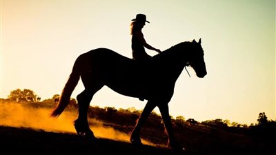 زوجة: حلمت بأني أركب حصانًا في المنام.. اعرفي تفسير الحلم لابن سيرين والنابلسي