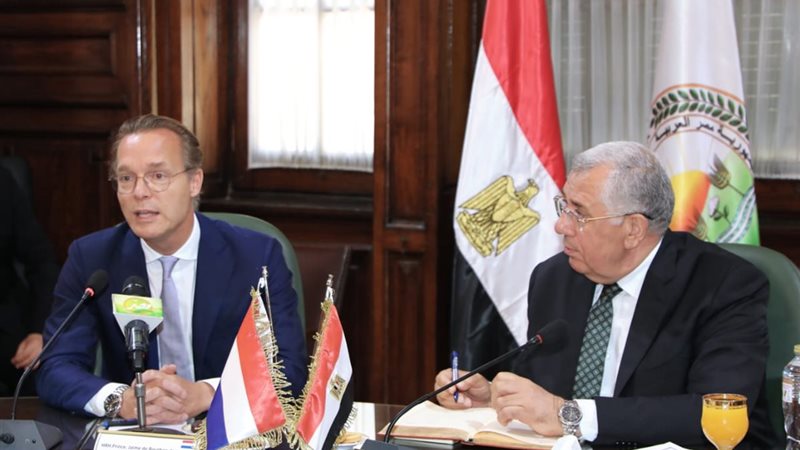 هير نيوز