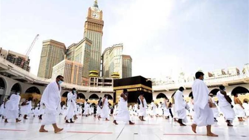 هير نيوز