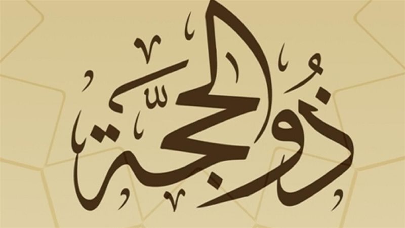 هير نيوز