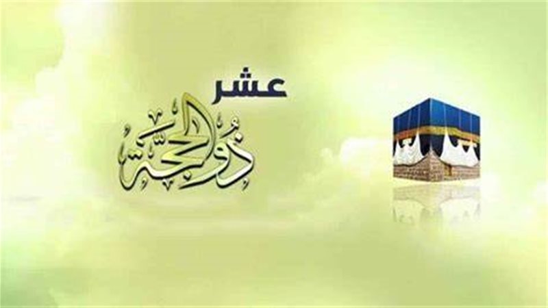 هير نيوز