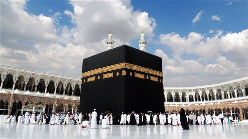 هير نيوز