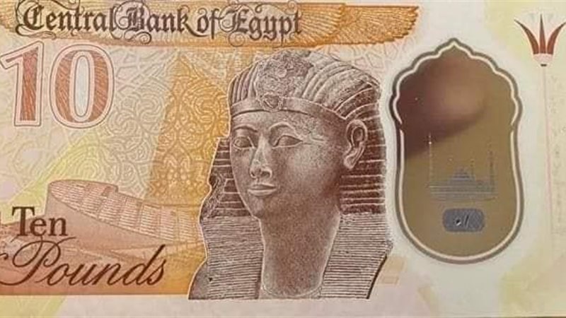 هير نيوز