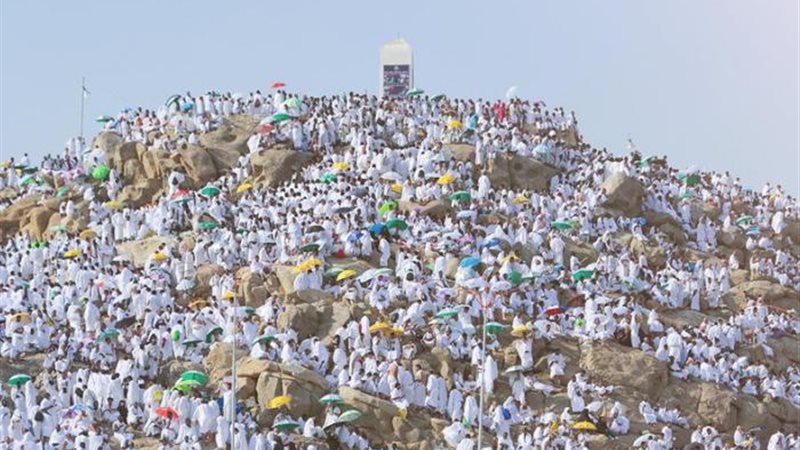هير نيوز