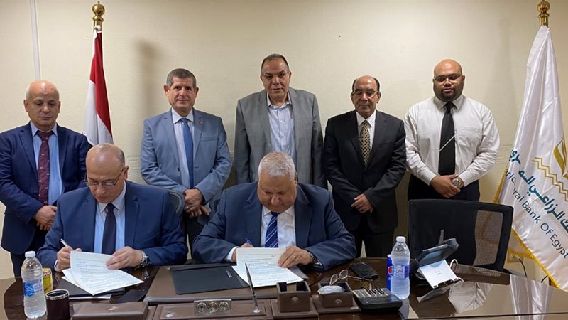 هير نيوز