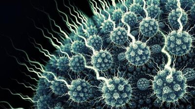 «يحول المصابين إلى أشباح».. الصحة العالمية تُحذر من فيروس «ماربورج» والتعليقات: «هنبقى زومبي»