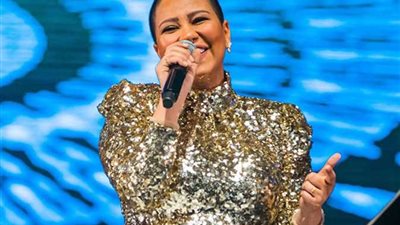 بتهم «التنمر والتحريض على العنف».. شيرين عبد الوهاب مهددة بالسجن