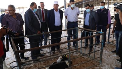 وزير الزراعة يتفقد مزرعة الإنتاج الحيواني وتصنيع الألبان بالنوبارية