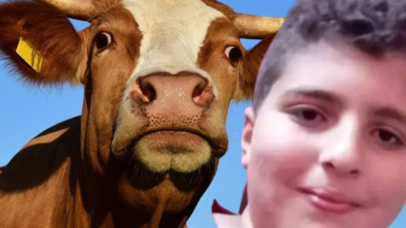 هير نيوز