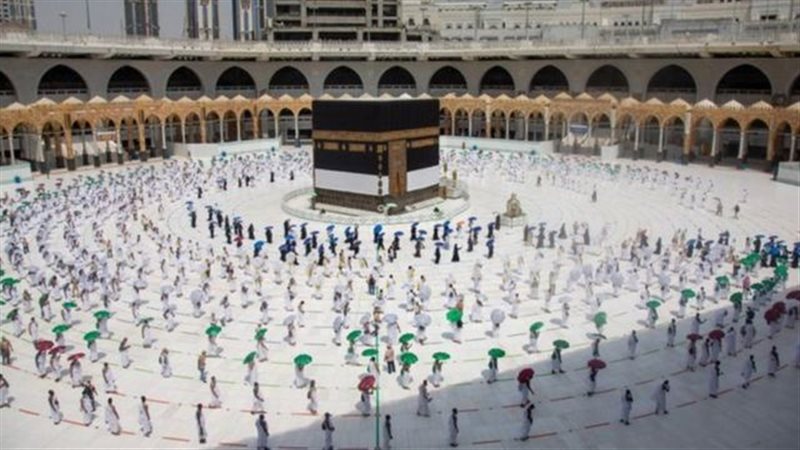 هير نيوز