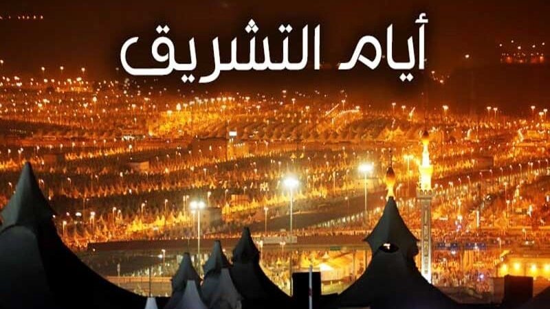 هير نيوز