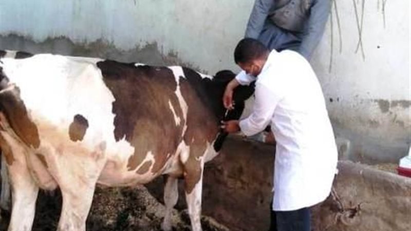هير نيوز