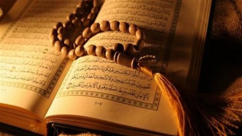 هير نيوز