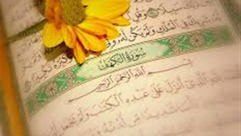 هير نيوز