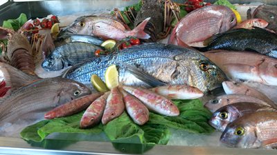 أسعار الأسماك اليوم الأربعاء.. البوري رقم 1 يرتفع 10 جنيهات والبلطي الأسواني بـ 40