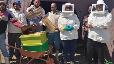 انطلاق مبادرة تطوير صناعة نحل العسل بالفيوم 