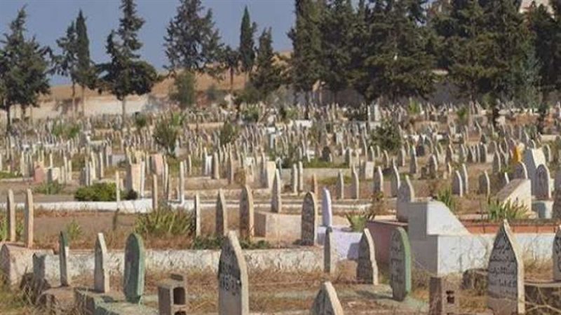 هير نيوز
