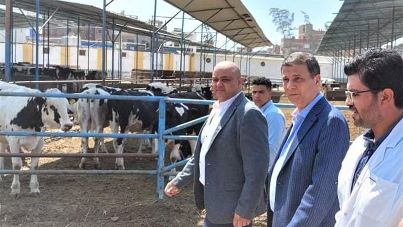 هير نيوز