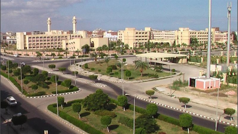هير نيوز