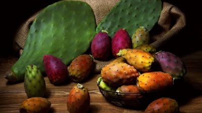 للجسم والبشرة والشعر.. تعرفي على فوائد وأضرار التين الشوكي للمرأة 