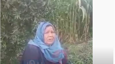 الست الشقيانة.. أم شريف سيدة سبعينية تعمل في الزراعة لتصرف على نفسها.. فيديو 