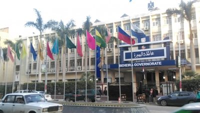 تفاصيل طعن زوج لزوجته بسبب خلافات أسرية في البحيرة  