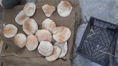 الرغيف السيوي «طعم تاني».. إليك مكوناته وطريقة تحضيره