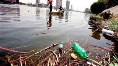 الإفتاء.. إلقاء القمامة والحيوانات النافقة في النيل والترع حرام شرعًا