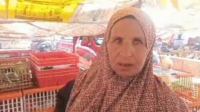 الست الشقيانة أم عماد: 