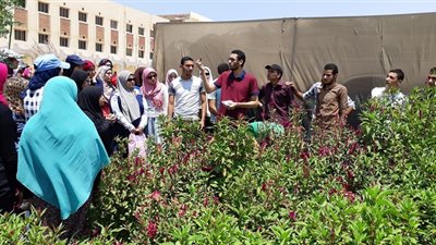 تخريج 75 سيدة مزارعة في المدارس الحقلية ببني سويف