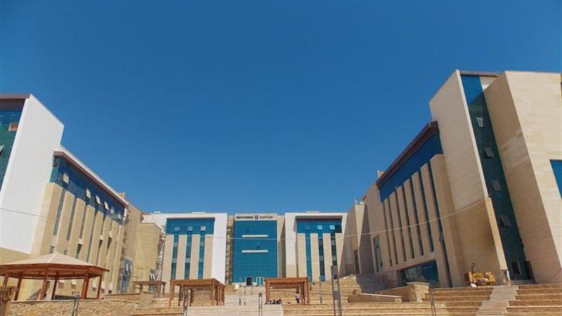 هير نيوز