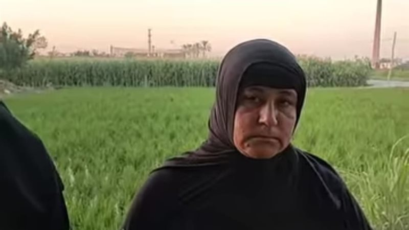 هير نيوز