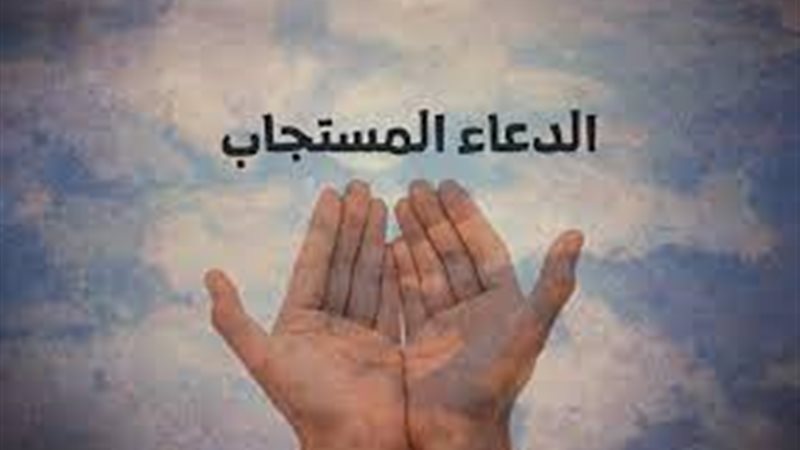 هير نيوز