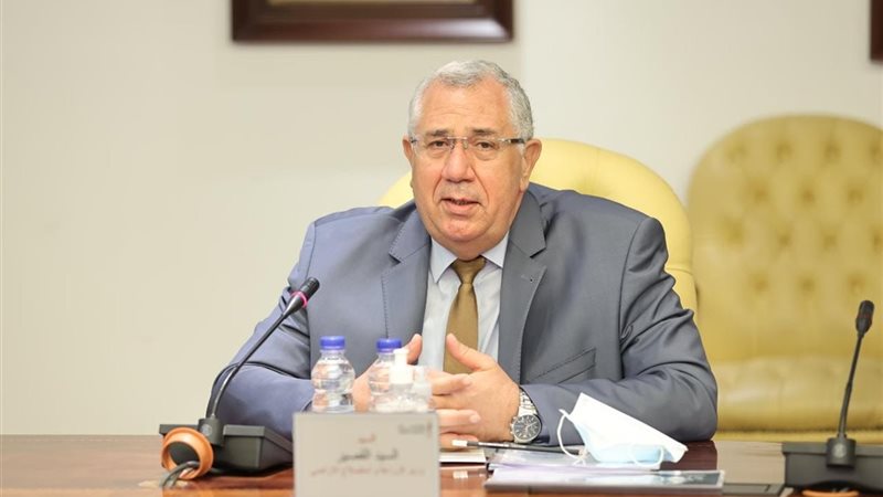 هير نيوز