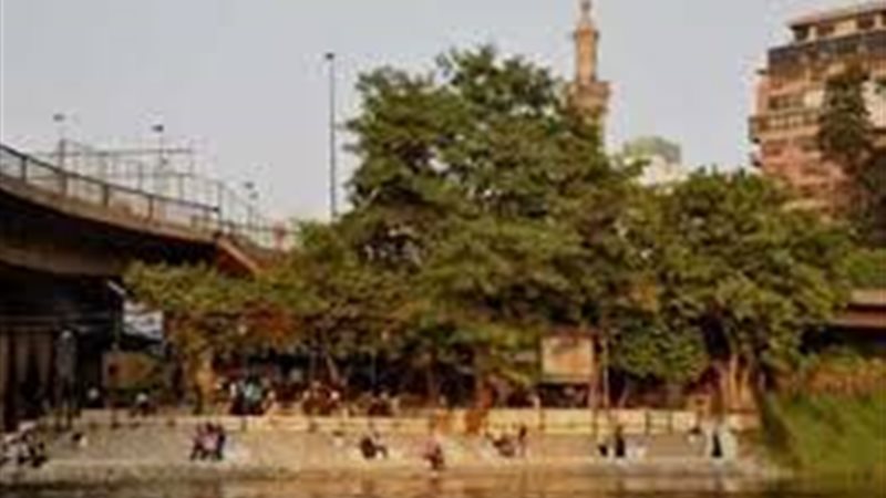هير نيوز