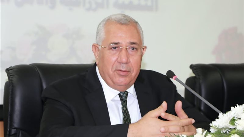 هير نيوز