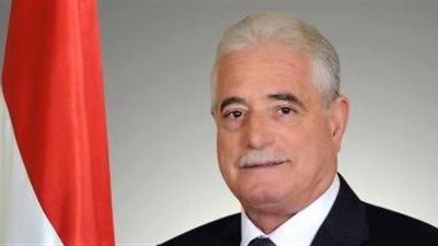 محافظ جنوب سيناء يلتقي وزير المالية 