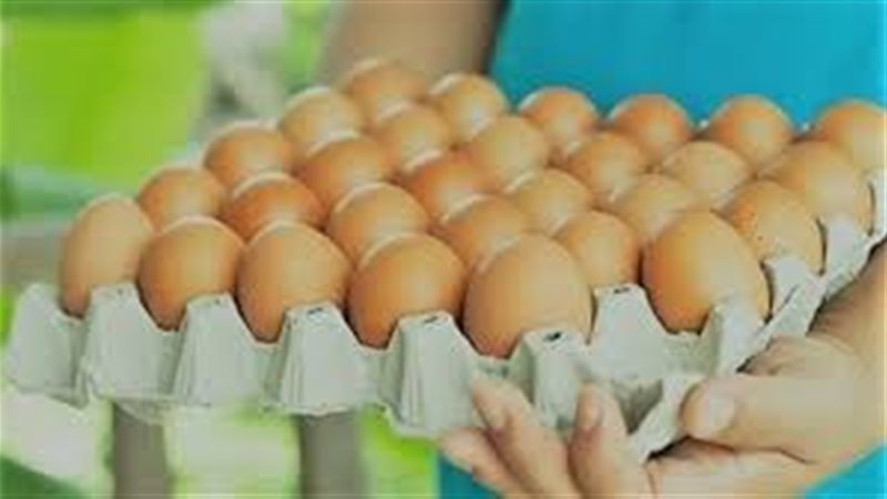 هير نيوز