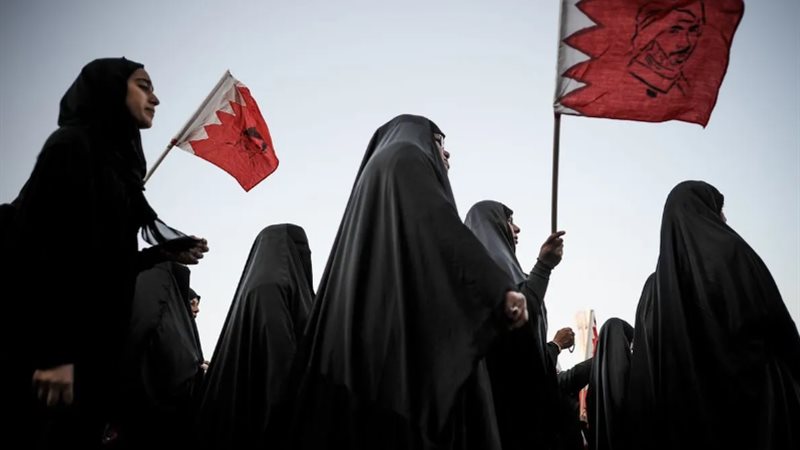 هير نيوز