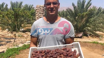 «المجدول».. كل ما تريدين معرفته عن ملك التمور 