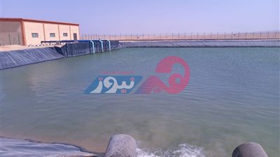 للمقبلات على الاستثمار الزراعي.. 12 خطوة لنجاحك تعرفي عليها